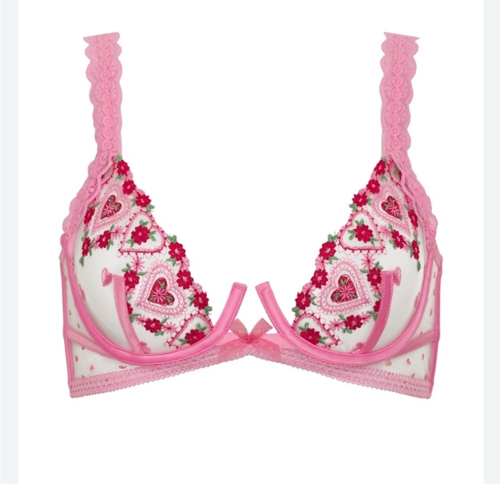NWT For Love And Lemons Whimsical Garden Hearts Pink Lace Underwire Size 34DD